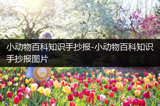 小动物百科知识手抄报-小动物百科知识手抄报图片