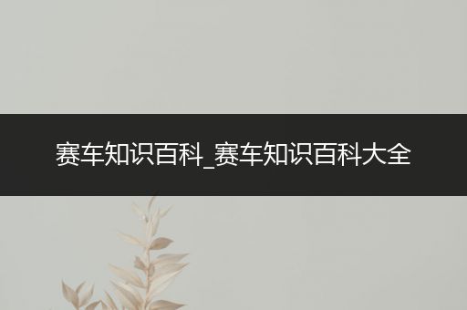 赛车知识百科_赛车知识百科大全