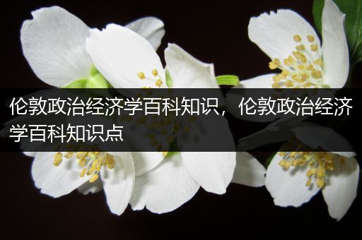 伦敦政治经济学百科知识，伦敦政治经济学百科知识点