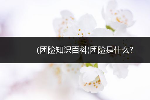 （团险知识百科)团险是什么?