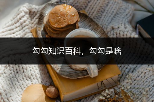 勾勾知识百科，勾勾是啥