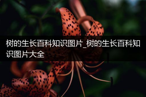 树的生长百科知识图片_树的生长百科知识图片大全