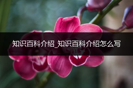 知识百科介绍_知识百科介绍怎么写