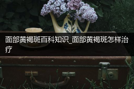 面部黄褐斑百科知识_面部黄褐斑怎样治疗