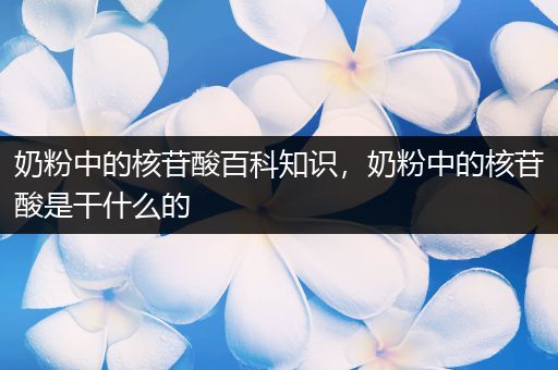 奶粉中的核苷酸百科知识，奶粉中的核苷酸是干什么的