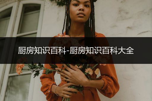 厨房知识百科-厨房知识百科大全