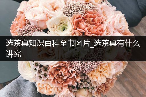 选茶桌知识百科全书图片_选茶桌有什么讲究