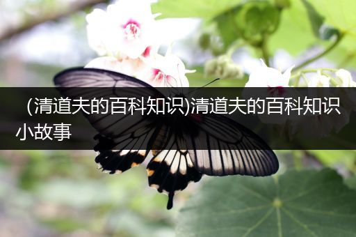 （清道夫的百科知识)清道夫的百科知识小故事