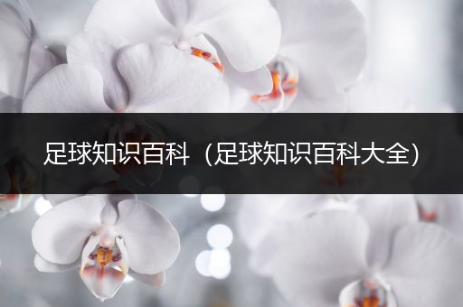 足球知识百科（足球知识百科大全）