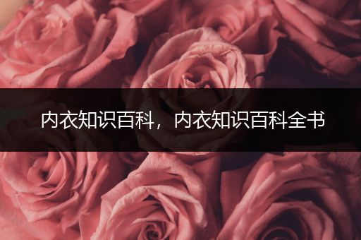 内衣知识百科，内衣知识百科全书