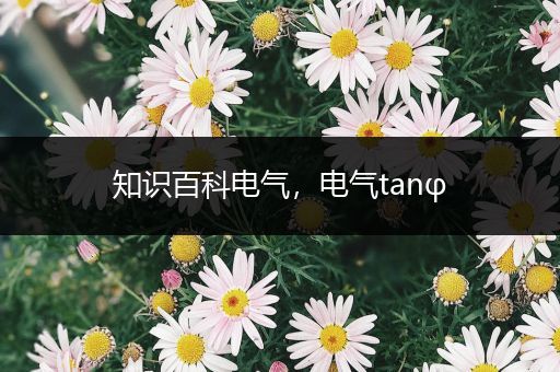 知识百科电气，电气tanφ