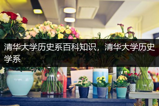 清华大学历史系百科知识，清华大学历史学系