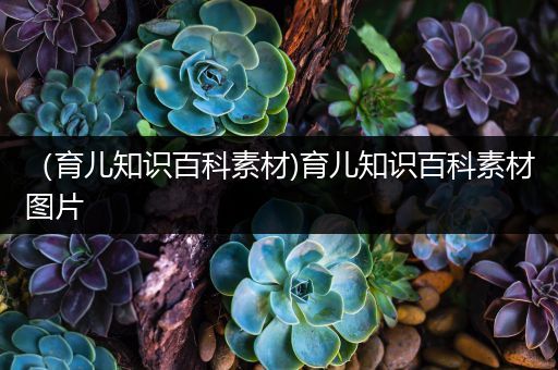 （育儿知识百科素材)育儿知识百科素材图片