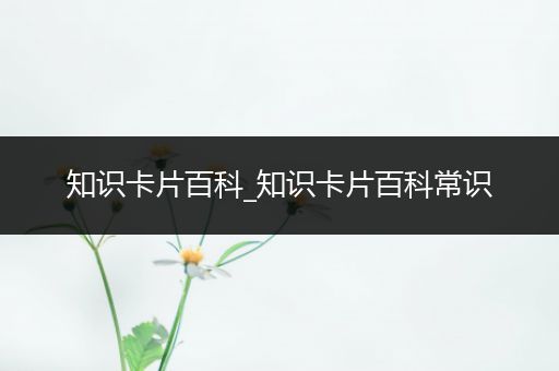 知识卡片百科_知识卡片百科常识