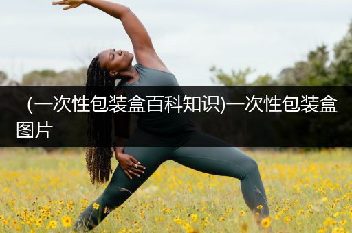 （一次性包装盒百科知识)一次性包装盒图片