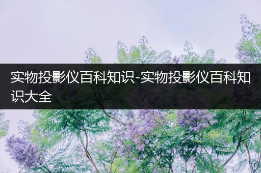 实物投影仪百科知识-实物投影仪百科知识大全