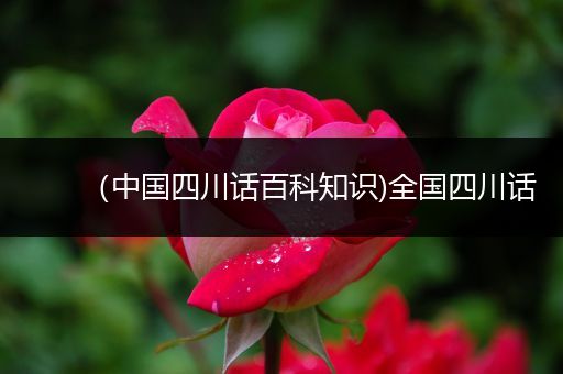 （中国四川话百科知识)全国四川话