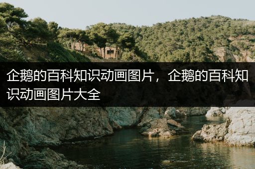 企鹅的百科知识动画图片，企鹅的百科知识动画图片大全