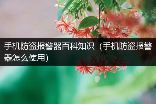 手机防盗报警器百科知识（手机防盗报警器怎么使用）
