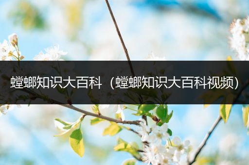 螳螂知识大百科（螳螂知识大百科视频）