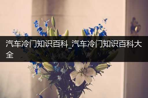 汽车冷门知识百科_汽车冷门知识百科大全