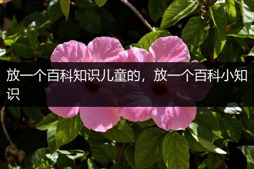 放一个百科知识儿童的，放一个百科小知识
