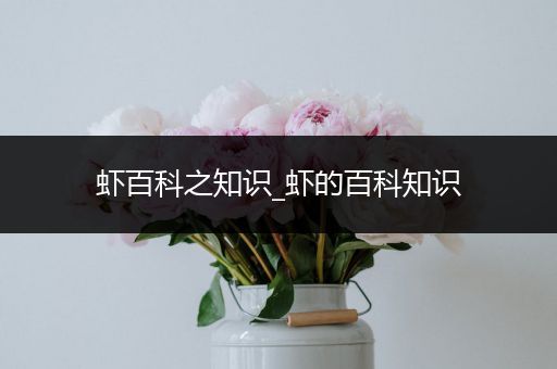 虾百科之知识_虾的百科知识