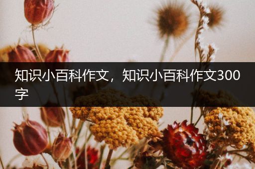 知识小百科作文，知识小百科作文300字