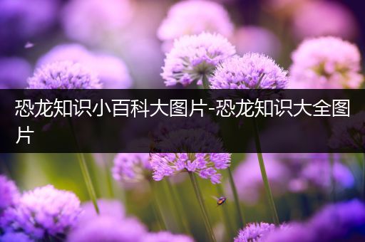 恐龙知识小百科大图片-恐龙知识大全图片