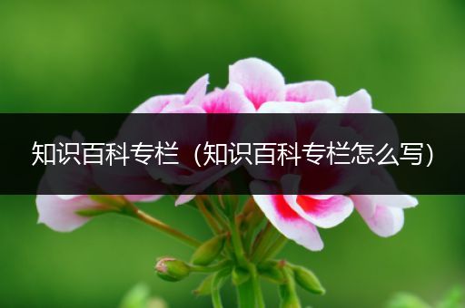 知识百科专栏（知识百科专栏怎么写）