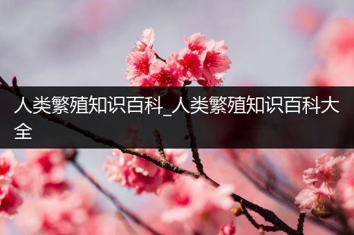 人类繁殖知识百科_人类繁殖知识百科大全