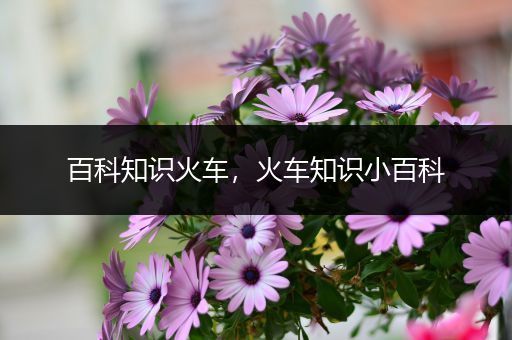 百科知识火车，火车知识小百科