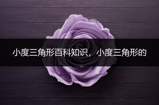 小度三角形百科知识，小度三角形的