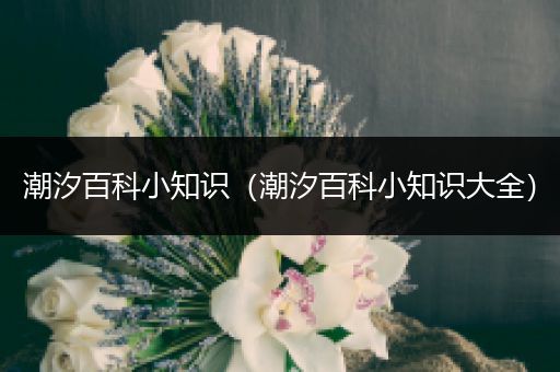 潮汐百科小知识（潮汐百科小知识大全）