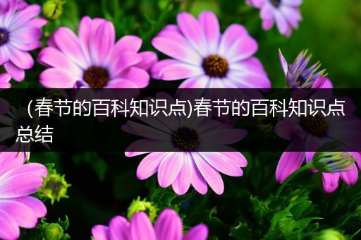 （春节的百科知识点)春节的百科知识点总结