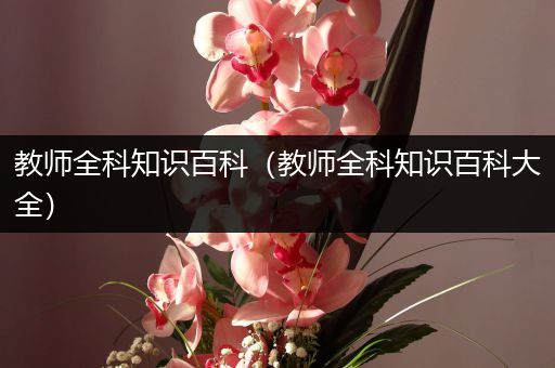 教师全科知识百科（教师全科知识百科大全）