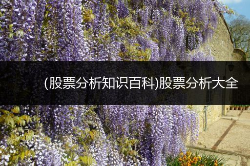 （股票分析知识百科)股票分析大全