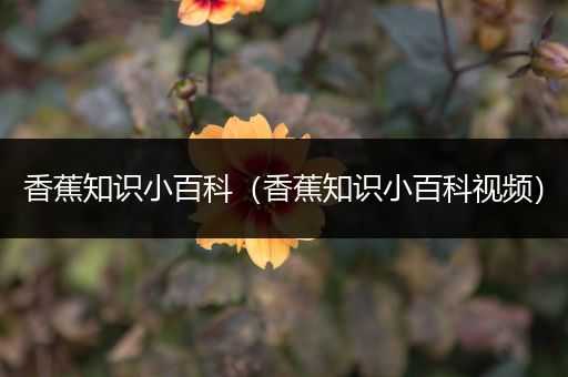 香蕉知识小百科（香蕉知识小百科视频）