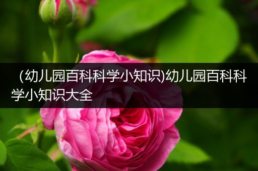 （幼儿园百科科学小知识)幼儿园百科科学小知识大全