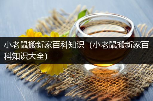 小老鼠搬新家百科知识（小老鼠搬新家百科知识大全）