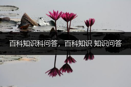 百科知识科问答，百科知识 知识问答