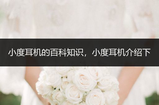 小度耳机的百科知识，小度耳机介绍下