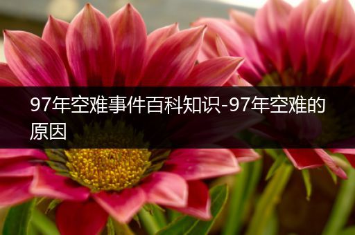 97年空难事件百科知识-97年空难的原因