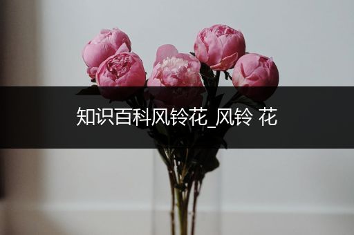 知识百科风铃花_风铃 花