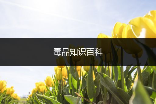 毒品知识百科