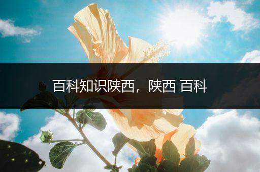 百科知识陕西，陕西 百科