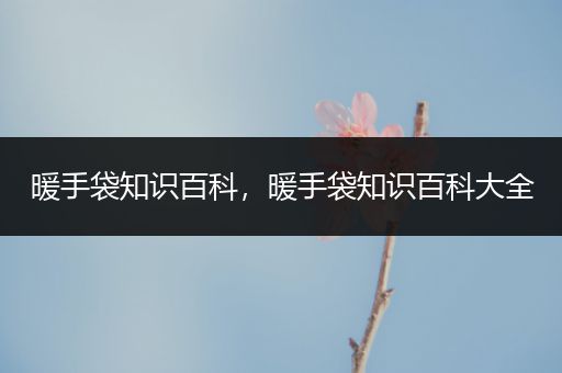 暖手袋知识百科，暖手袋知识百科大全