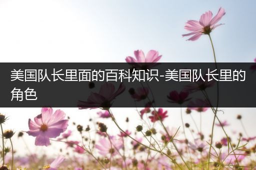 美国队长里面的百科知识-美国队长里的角色
