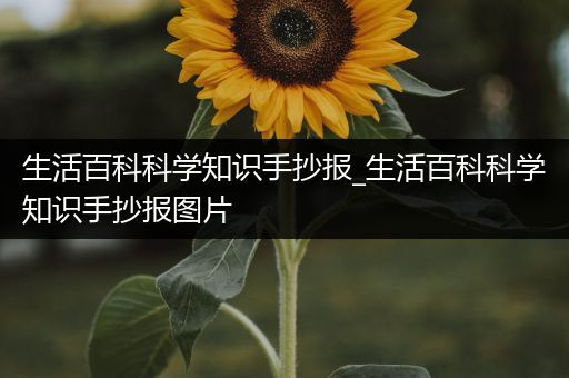 生活百科科学知识手抄报_生活百科科学知识手抄报图片