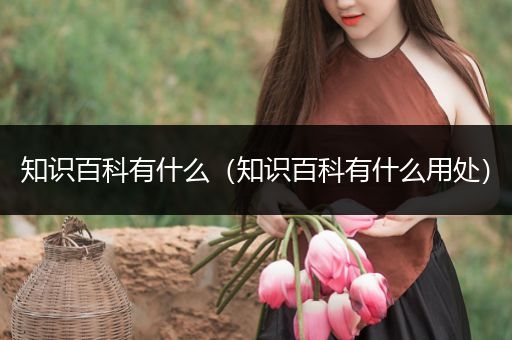 知识百科有什么（知识百科有什么用处）